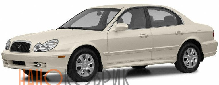 Автомобильные коврики ЭВА (EVA) для Hyundai Sonata IV (EF) 1998-2013 