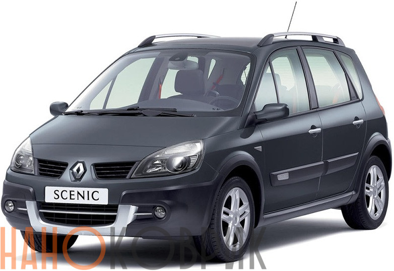 Автомобильные коврики ЭВА (EVA) для Renault Scenic II 2003-2010 